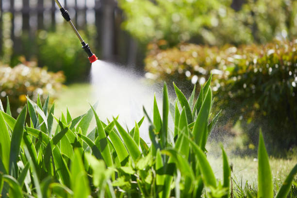 24/7 Emergency Mosquito Control experts in Green Tree, PA